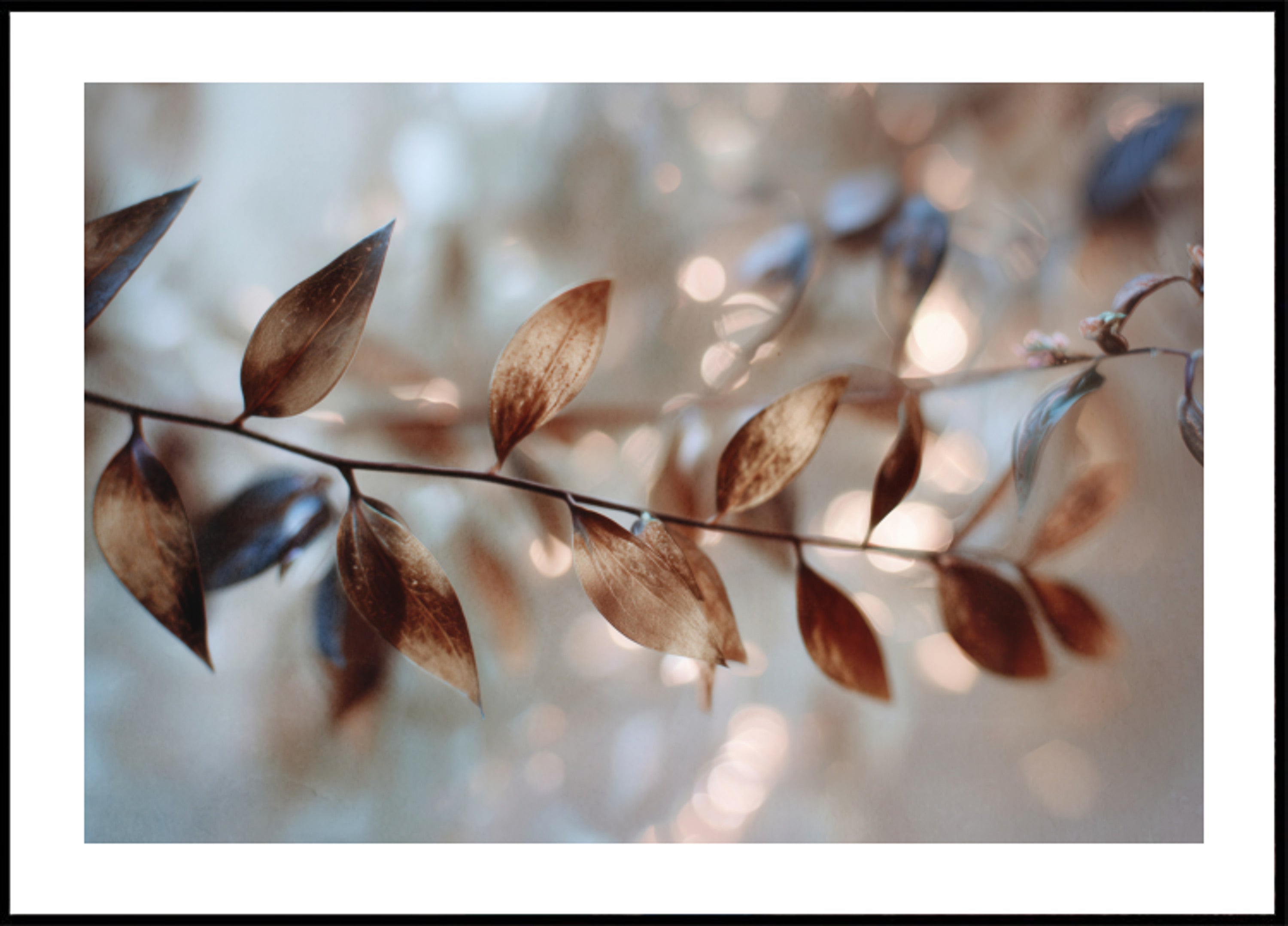 Delikat Bokeh Blieder