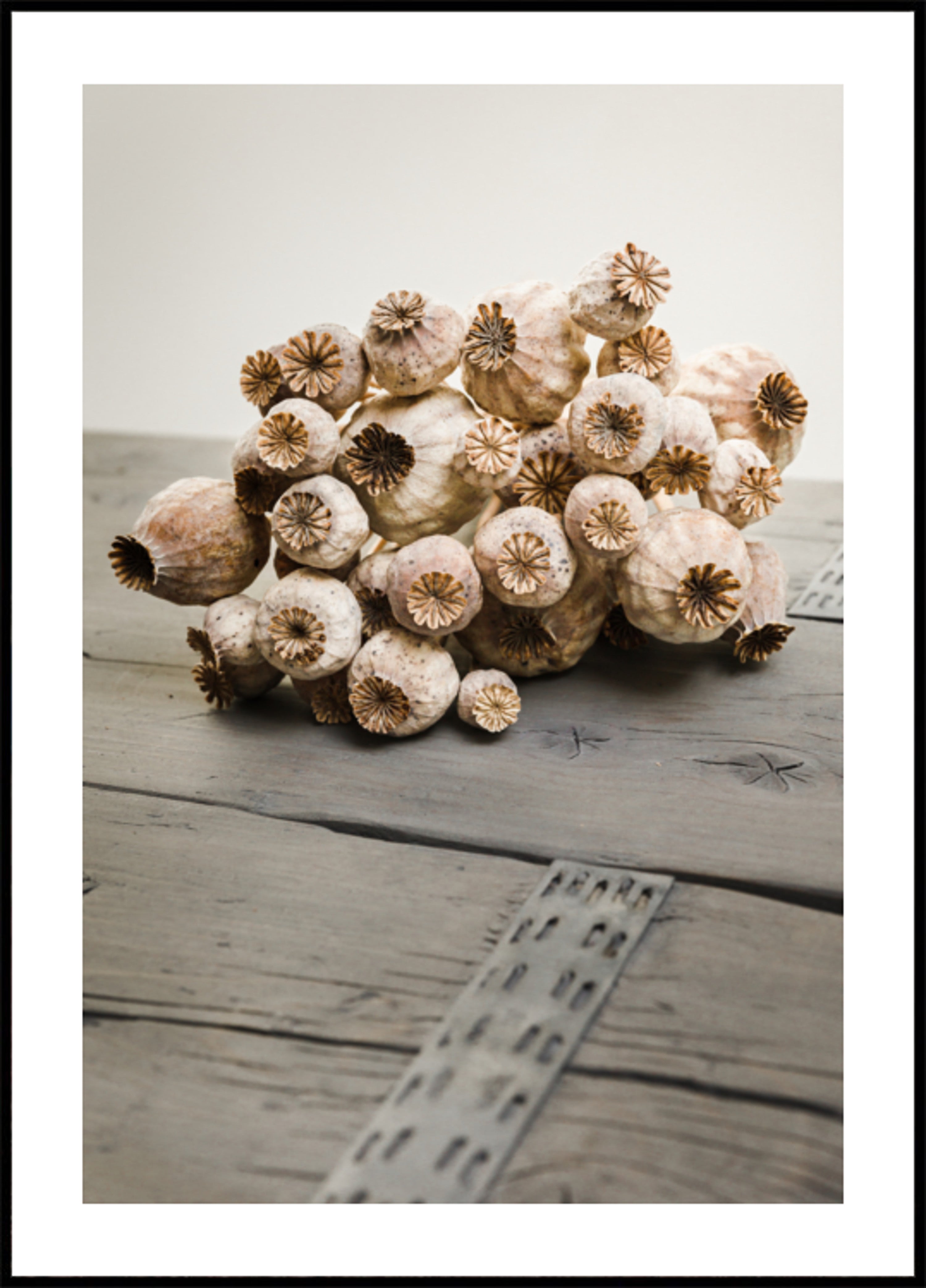 Rustikal Poppy Pods