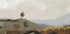 La Collina Plakat - Posterbox