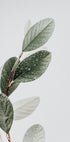 Dew On The Leaves Plakat - Posterbox.dk