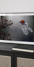 Ladybird on hydrangea. - Posterbox
