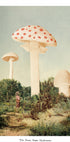 The Finest Giant Mushroom Plakat - Posterbox