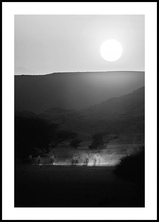Arabian Oryx Plakat - Posterbox.dk