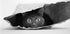 Cat in a bag Plakat - Posterbox