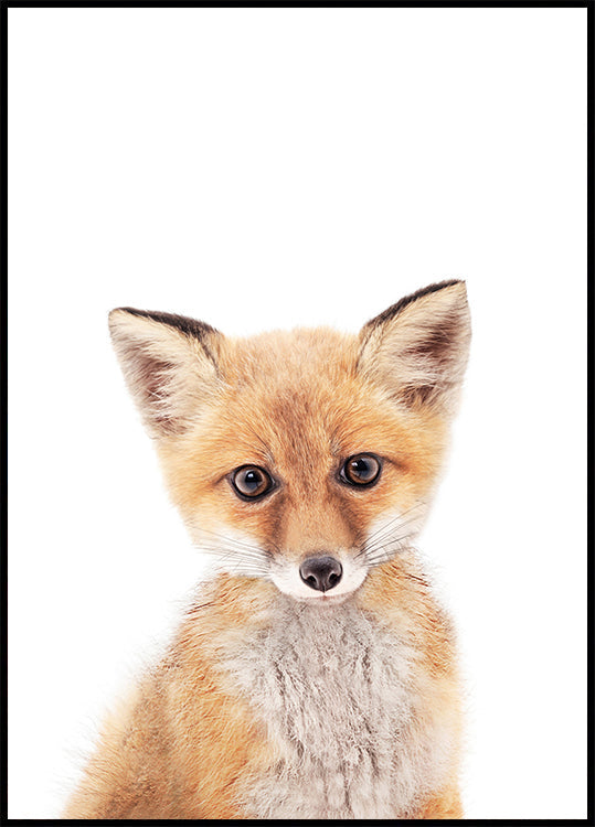 Baby Fox Plakat - Posterbox
