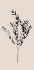 Inky Botanical - Posterbox