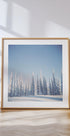 Winter Pines Plakat - Posterbox
