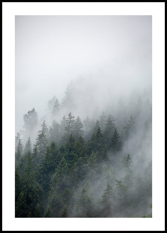 Foggy Morning 2 Plakat - Posterbox