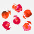 Apple  Chiffon Pink Orange (NEW) - Posterbox