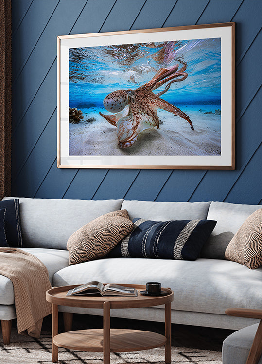 Táncoló polip plakát