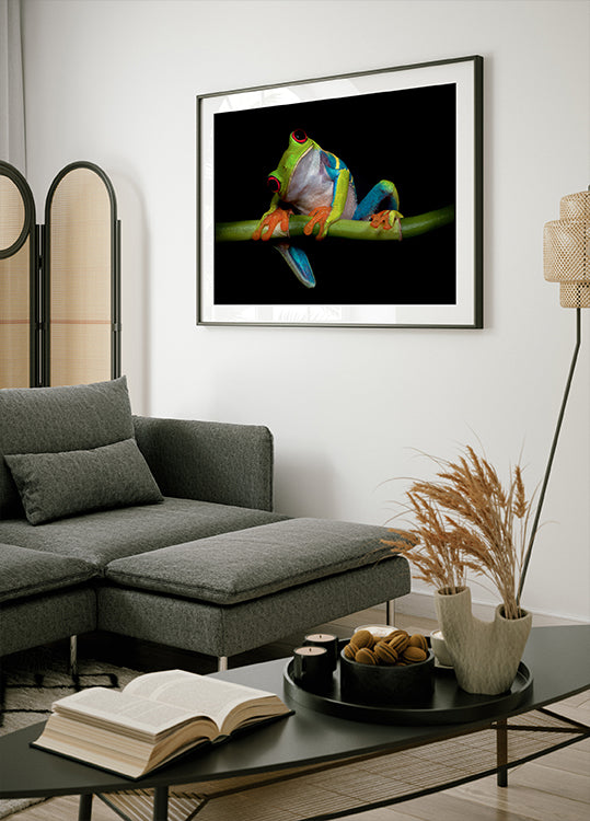 Poster de curiozitate