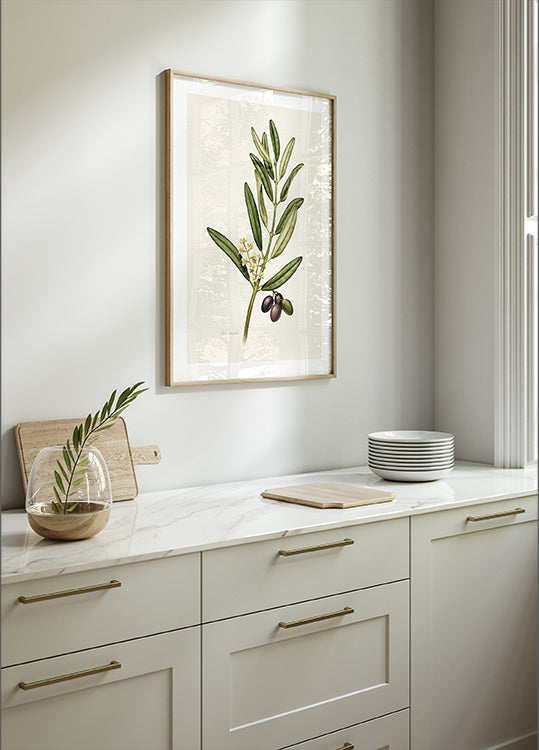 Olea Europaea (NEW) - Posterbox