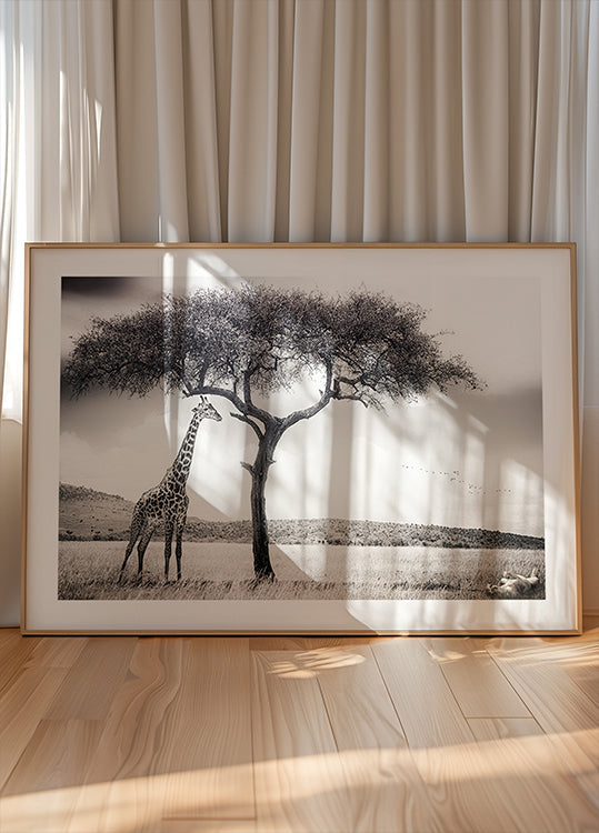 Aafrika päikese all Plakat