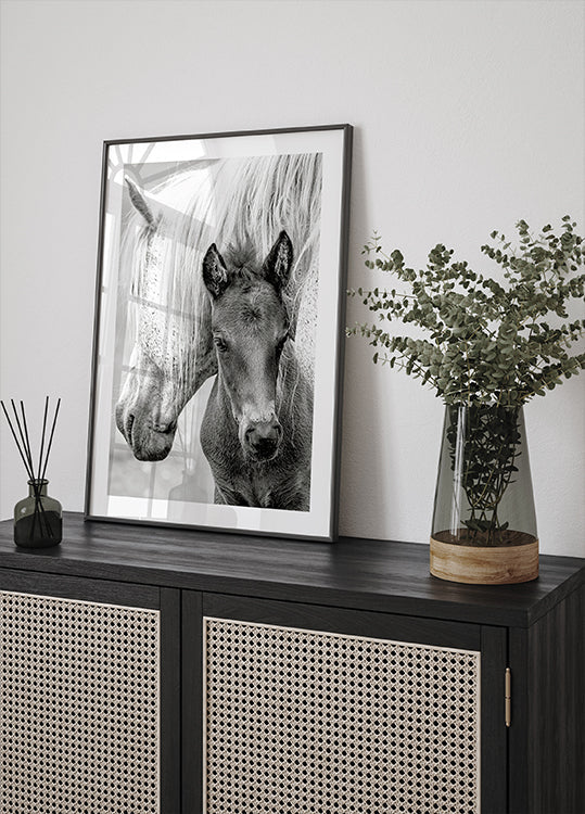 The Foal Poster