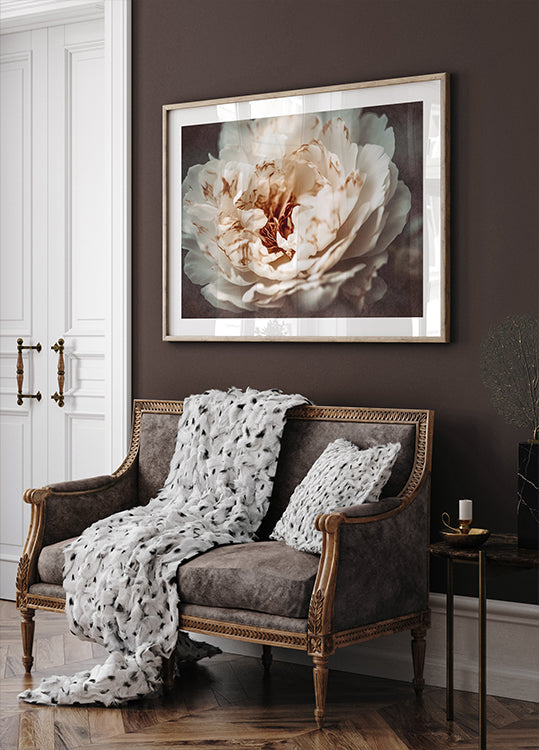 Ramybės žiedlapiai