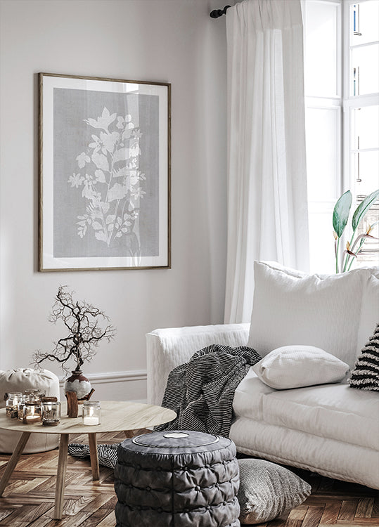 Poster Botanical Illustration 2