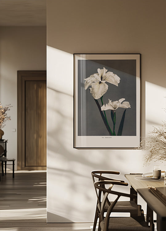 Iris Kæmpferi plakat