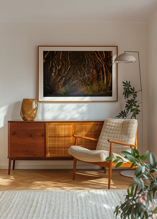 Temné živé ploty v rannom slnku