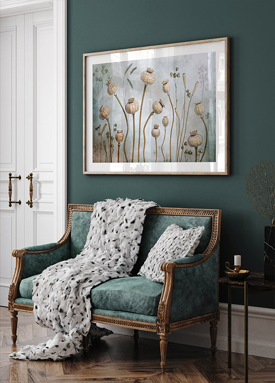 Poppies