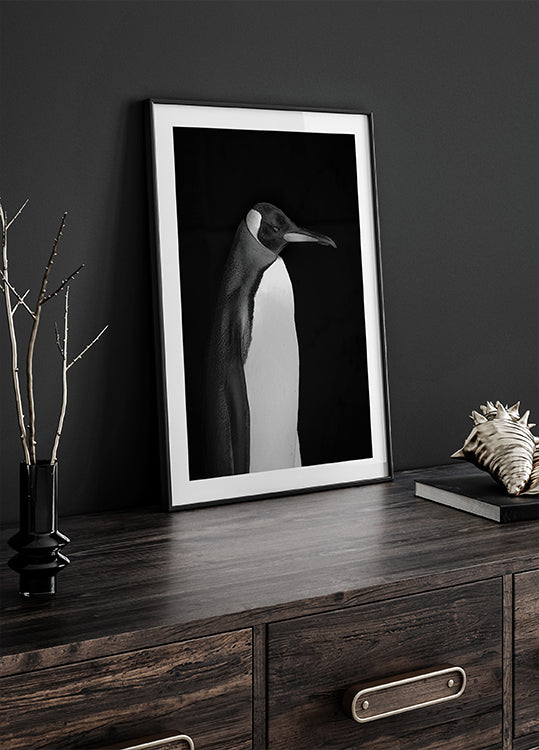 Härra Pingviini plakat