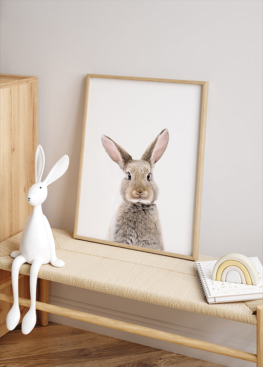 Baby Rabbit Plakat