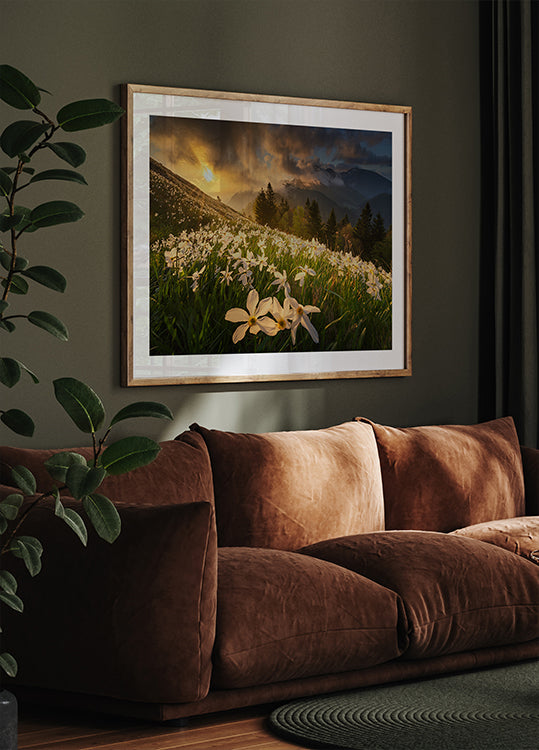 Fehér szőnyeg poszter