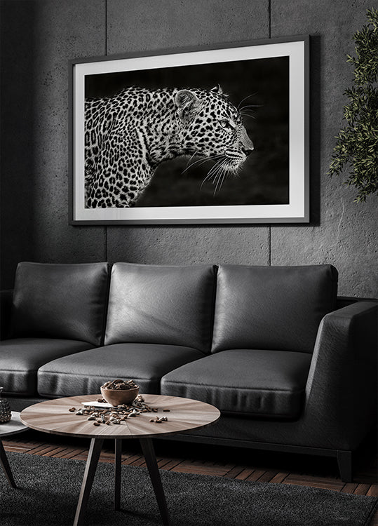 Leoparda tuvplāna plakāts