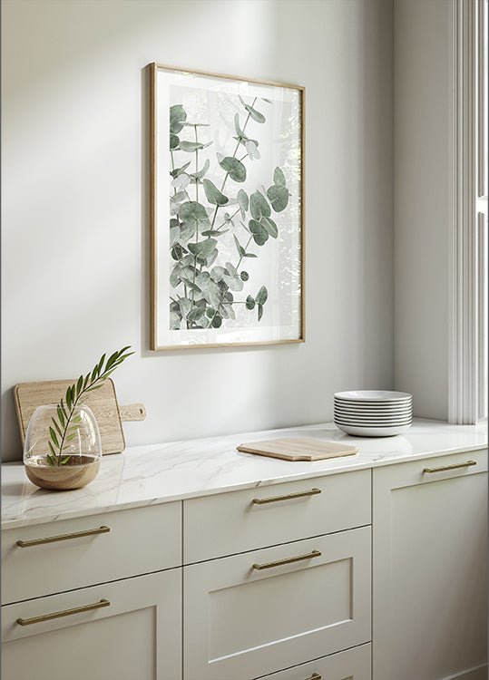 Eucalyptus No.2 Affiche