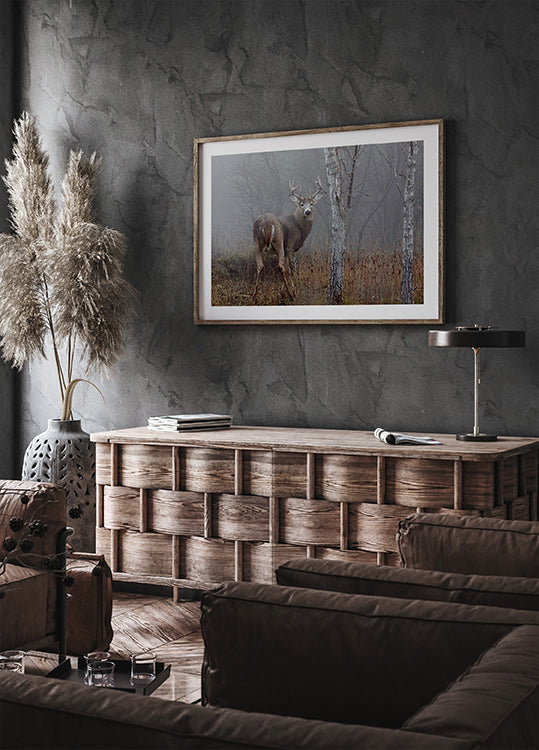 Fehérfarkú bak - Őszi ködben Plakát