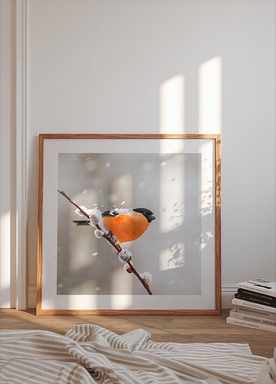 Bullfinch sniegputenī Plakāti