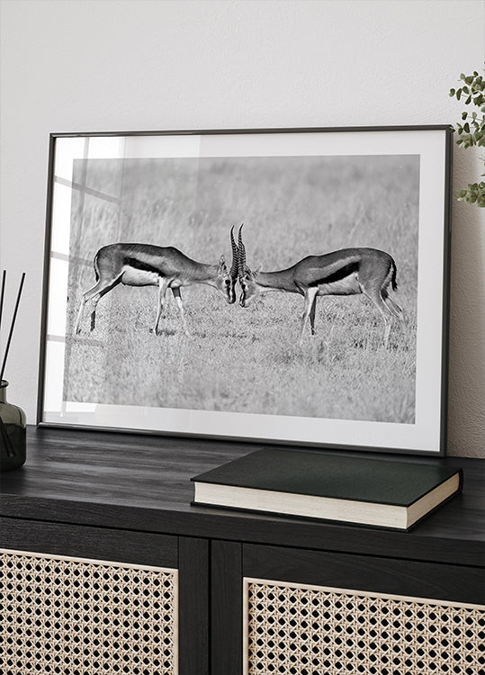 Plakatas akis į akį