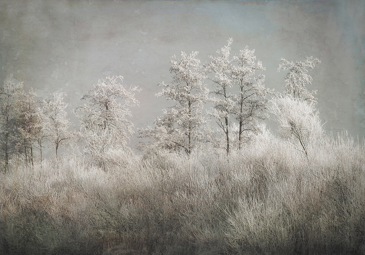 Cold morning Plakat - Posterbox