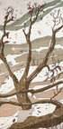 The Beautiful Cold Winters Stream Plakat - Posterbox