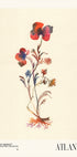 Watercolor print collection. Flower market - Atlanta - Posterbox