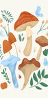 Fungi - Posterbox