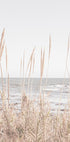 Beach_Vass_001 Plakat - Posterbox