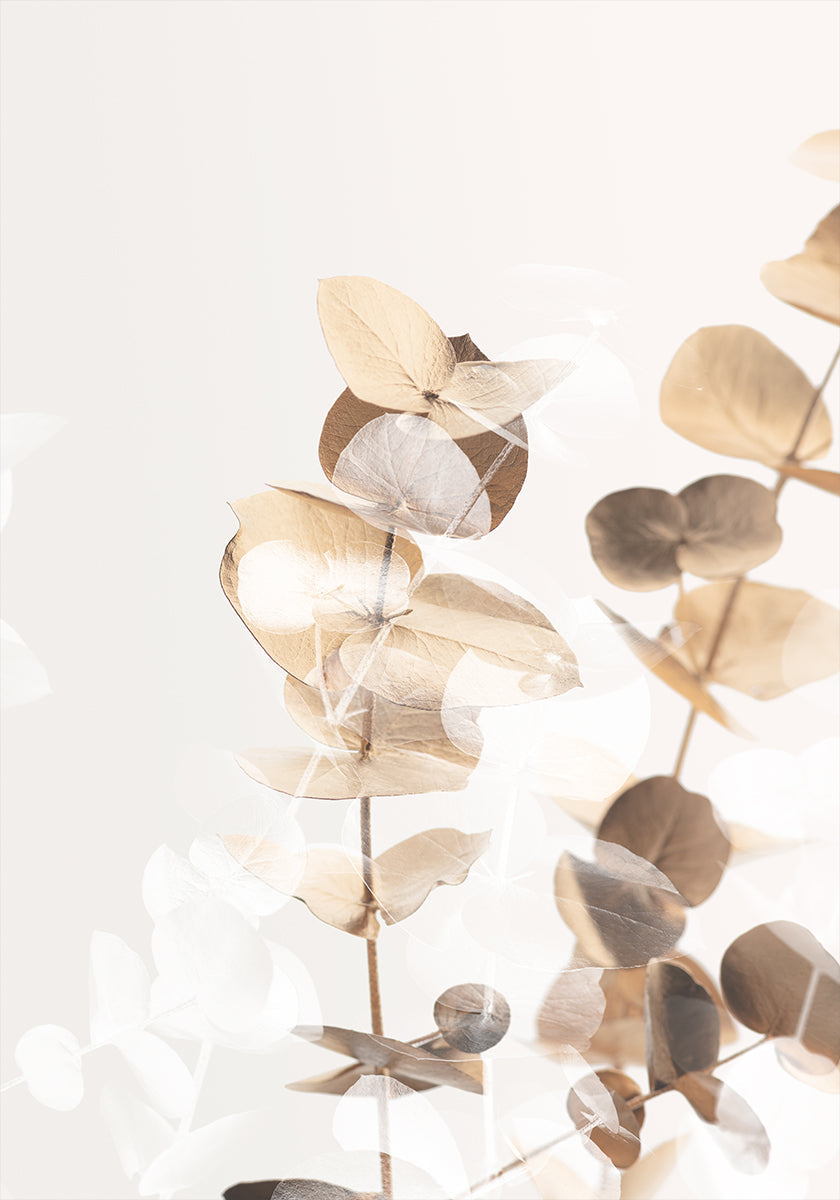 Eucalyptus Creative Gold 01 Plakat - Posterbox