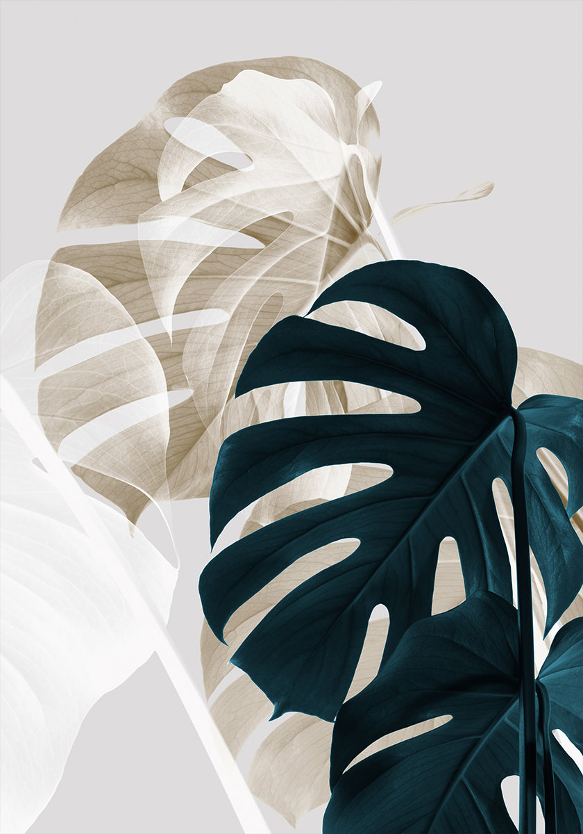 Monstera Creative 05 - Posterbox