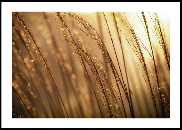 Autumn Dew Plakat - Posterbox.dk