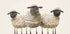 Cute Black-Faced Sheep Trio Plakat - Posterbox.dk