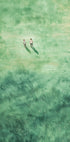 Green Grass Fields Plakat - Posterbox.dk
