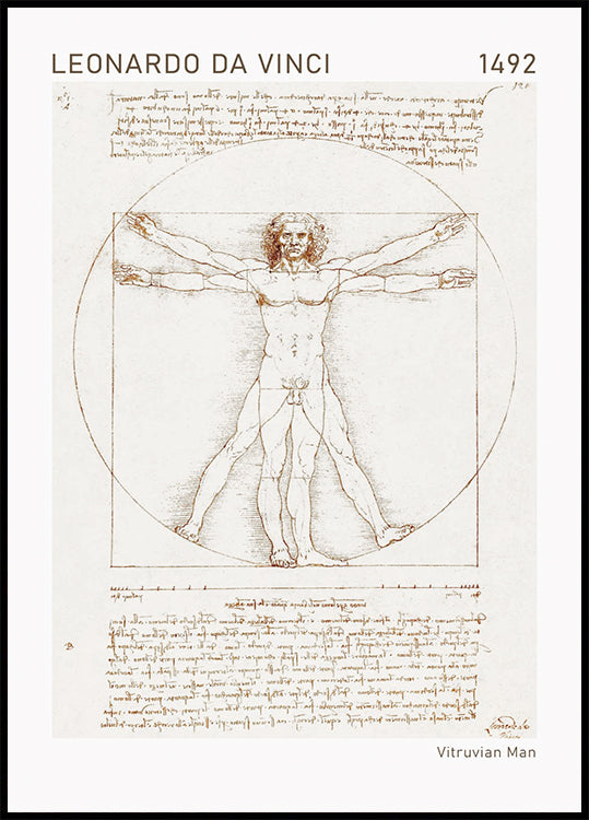 Leonardo da Vinci, Vitruvian Man Plakat - Posterbox.dk