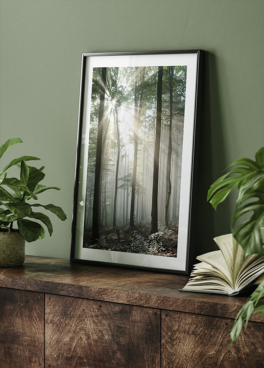 Light Through Trees Plakat - Posterbox.dk