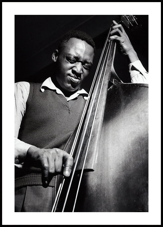 Musician on Bass Plakat - Posterbox.dk
