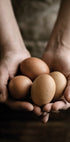 Organic Farm Eggs Plakat - Posterbox.dk