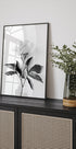 Peony B&W Plakat - Posterbox.dk
