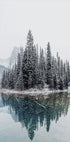 Snowy Trees Near Lake Plakat - Posterbox.dk