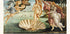 The Birth of Venus Plakat - Posterbox.dk
