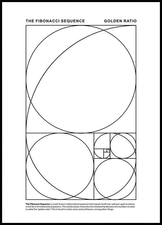 The Fibonacci Sequence Plakat - Posterbox.dk