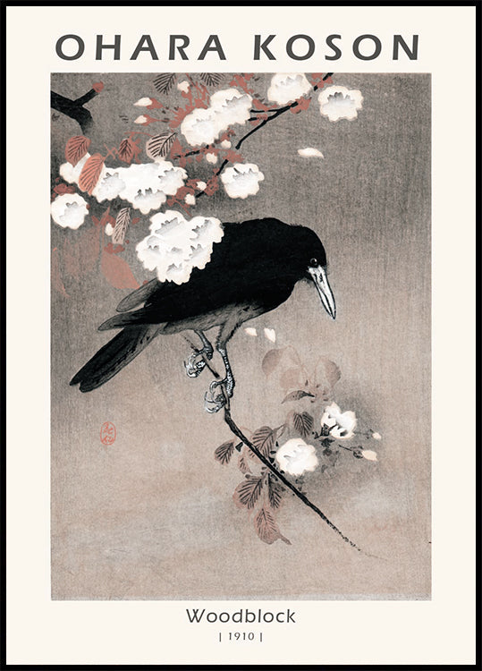 Woodblock, Crow on Cherry Blossom Branch By Ohara Koson Plakat - Posterbox.dk